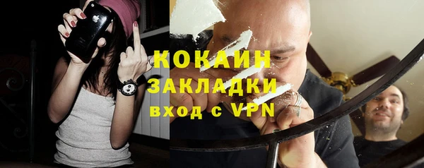 PSILOCYBIN Богданович