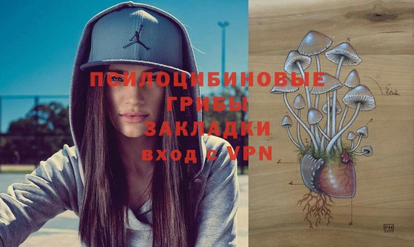 мяу мяу мука Богородск