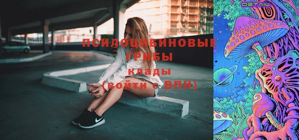 PSILOCYBIN Богданович