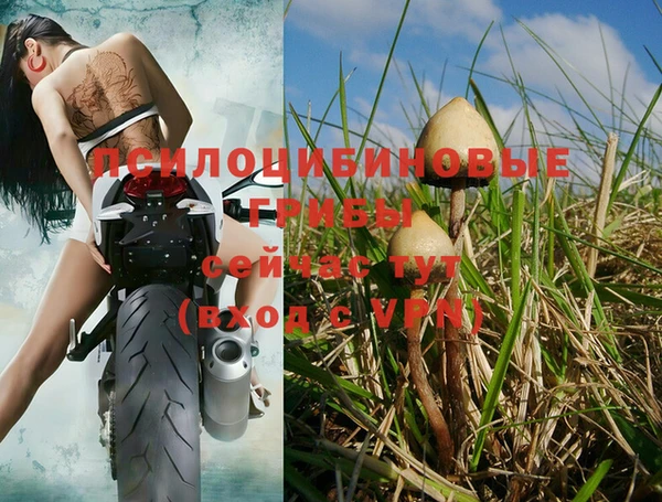 Альфа ПВП Богородицк