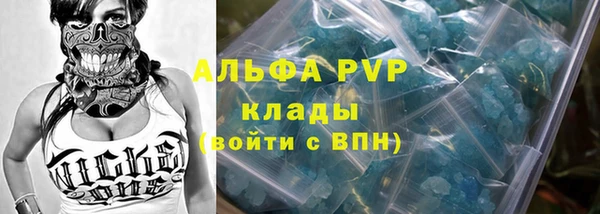 PSILOCYBIN Богданович