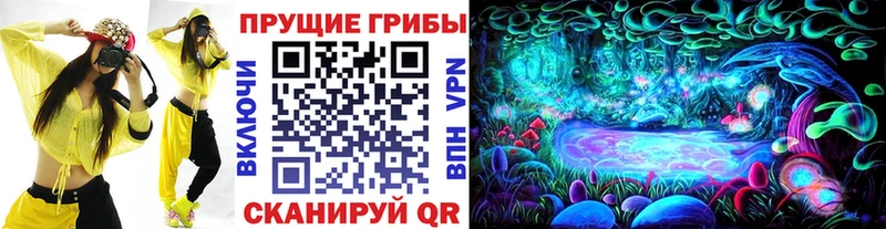 Псилоцибиновые грибы Psilocybine cubensis  Киреевск 